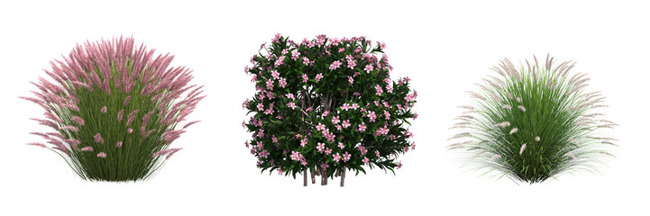 bush isolate on a transparent background, 3D illustration, cg render - 541701135
