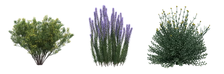 Tuinposter bush isoleren op een transparante achtergrond, 3D illustratie, cg renderen © vadim_fl