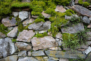 stone wall with moss