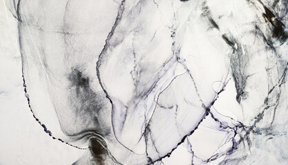 Fototapeta premium Alcohol ink abstract black-white background. Contrasting acrylic paint waves in water. Texture of marble. Pattern for printing. Vibrant stains and splashes