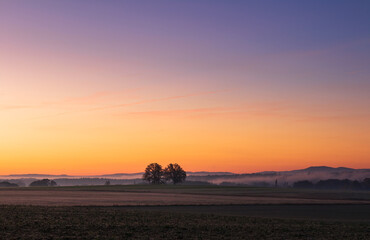 Fototapeta na wymiar Meadow with tree and distant hill in misty fog at morning sunrise. Czech landscape, blue hour