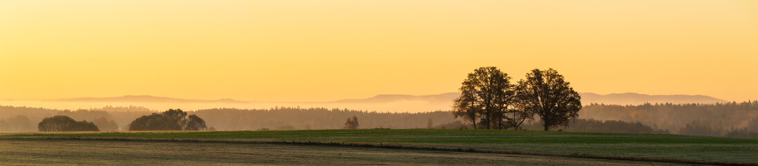 Fototapeta na wymiar Meadow with tree and distant hill in misty fog at morning sunrise. Czech panoramic landscape, gold hour