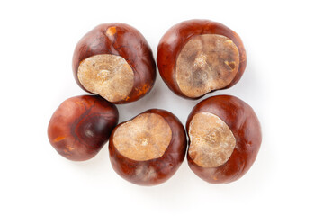 Bunch of horse chestnuts isolated on white background