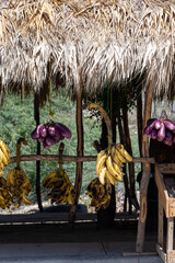 Fruit shops and fruit selling on the roads of the Dominican Republic. Colorful fruit like ripe yellow bananas and green plantains on sale. Tropical life, caribbean living.