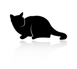 Silhouette of a lying cat, with a reflection isolated on a white background.