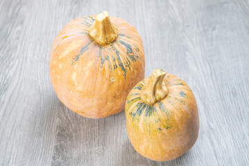 秋の収穫、ピーナッツカボチャ