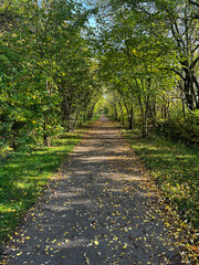 Fototapeta na wymiar Outdoor path in autumn (eye level shot)