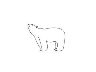 シロクマ　ホッキョクグマ