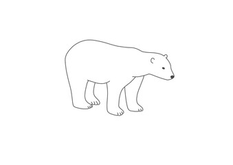 シロクマ　ホッキョクグマ