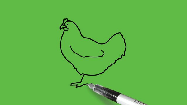 Draw standing hen in blue color combination with beak, toes, claws, comb with black outline on abstract green background
