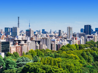 Obraz premium 東京 青空と都市風景