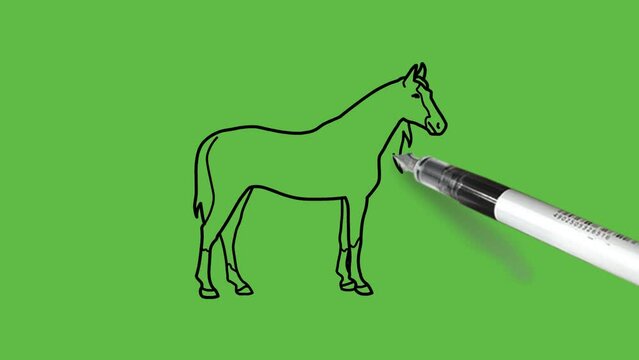 Draw horse or equine standing in light and dark brown, grey and white color combination with white face and black outline on abstract green background
