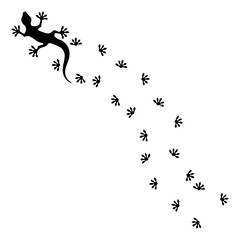 Gecko and footprints on a white background