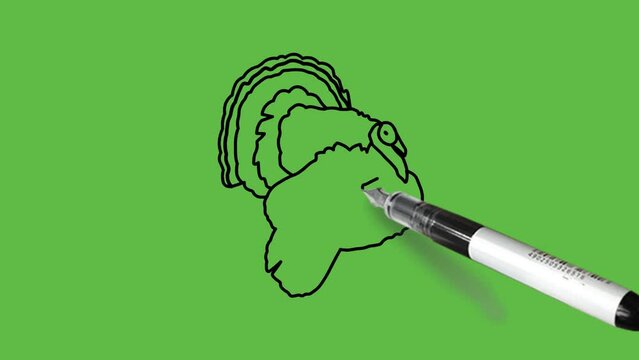 Draw turkey wild animal standing in light and dark brown and grey color combination with white eyes and black outline on abstract green background
