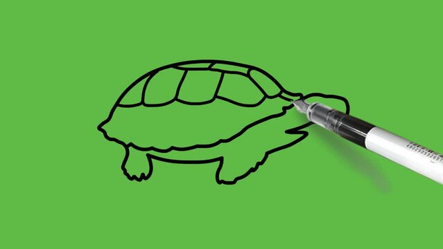 Draw tortoise reptile animal in light and dark brown and green color combination with spotty hard shells and black outline on abstract green background
