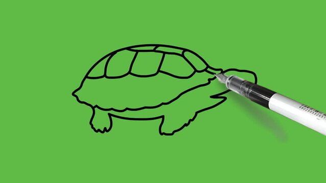 Draw tortoise reptile animal in blue color combination with spotty hard shells and black outline on abstract green background
