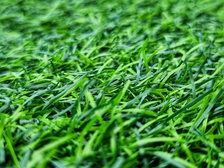 Artificial Grass Field. Close up macro shot. blur and focus at select point.