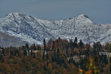 Beautiful autumn mountain landscape