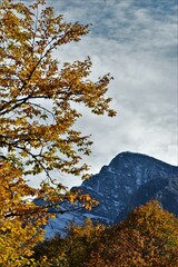 Beautiful autumn mountain landscape