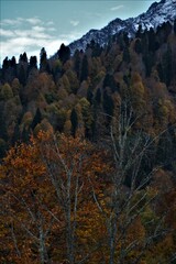 Beautiful autumn mountain landscape