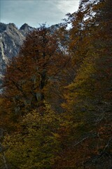 Beautiful autumn mountain landscape