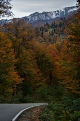 Beautiful autumn mountain landscape