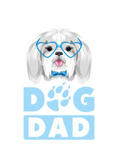Pretty Shih Tzu in blue eyeglasses. Dog dad