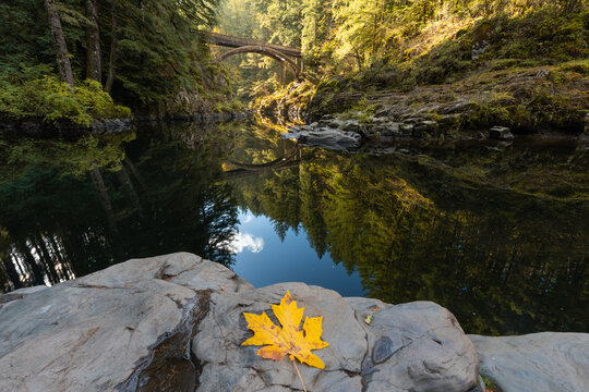 Fairytale forest arch bridge reflections and autumn leaves at Moulton Falls Regional Park, Washington State, Pacific Northwest
