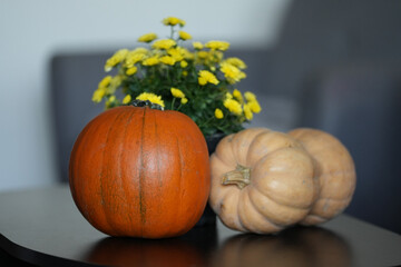 pumpkin on the table