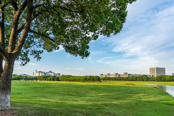 city park lawn green woods natural scenery