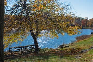 Lake Marcia of New Jersey's High Point State Park, on a sunny autumn day, surrounded by luscious foliage -08