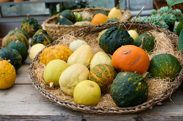 Small pumpkins in weaved baskets for sale on farmers market as decoration in autumn.