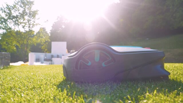 CLOSE UP: Side view of robotic lawn mower trimming green grass in modern garden. Futuristic gardening equipment at work. Lawn robot, illuminated by golden sunlight, cutting turf in the backyard.