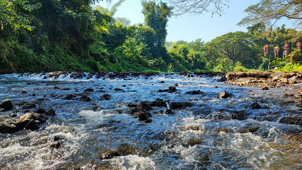 The waterfall with the small dam in the green forest.