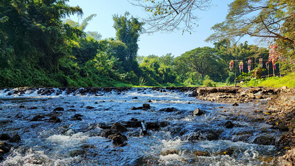 The waterfall with the small dam in the green forest.