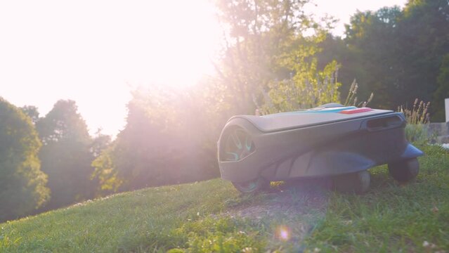 CLOSE UP: Modern robotic lawn mower cutting green grass in garden on a sunny day. Lawn robot, illuminated by golden sunlight, cutting green turf in the garden. Futuristic gardening equipment at work.