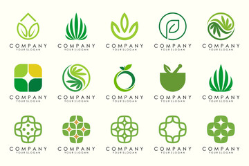 creative leaf logo design inspiration.