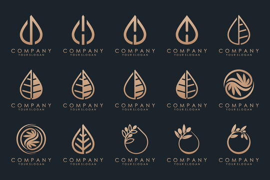 leaf and drop logo design vector.