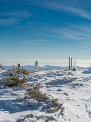 landscape with snow and trees