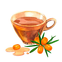 Glass transparent cup filled with sea buckthorn tea. Hand drawn watercolor on a white background. Forest buckthorn perfect for invitation, greeting cards and other design