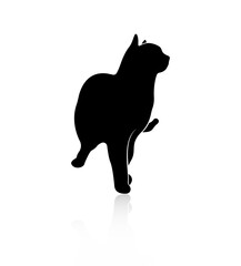 Silhouette of a standing cat, with a reflection isolated on a white background.