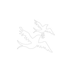 vector bird flying illustration design