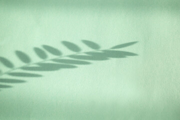 Shadow of leaf overlay on green background. Use for decorative product presentation.