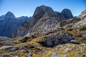 Alpine ibex picture taken in Julian alps, Slovenia	