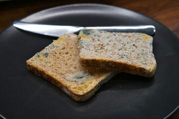 mold on bread