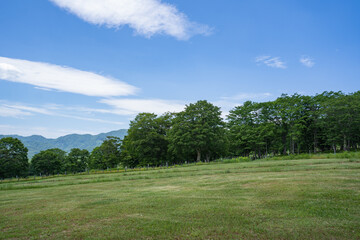 笹ヶ峰の遊歩道から見る、牧場の風景