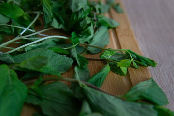 fresh basil leaves