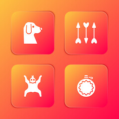 Set Dog, Hipster arrows, Bear skin and Canteen water bottle icon. Vector