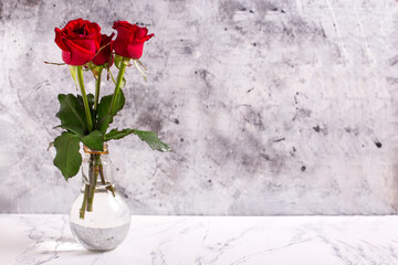 Background with red colorful summer roses  flowers against grey textured wall in glass vase. Selective focus. Still life. Place for text..