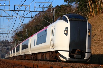 特急電車 成田エクスプレスE259系